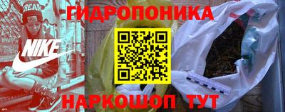 шишки Новозыбков