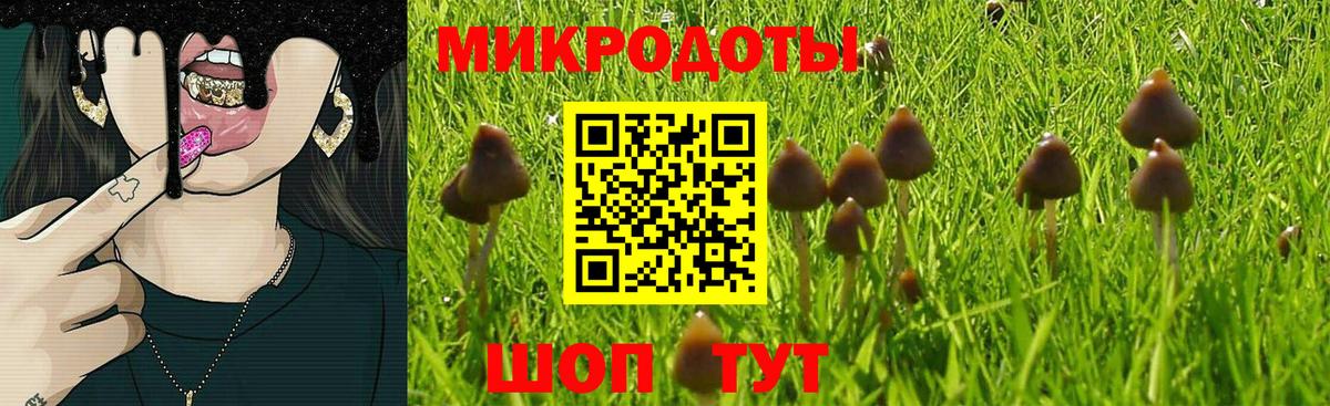 Сосновоборск  Псилоцибиновые грибы GOLDEN TEACHER  Вход с VPN 