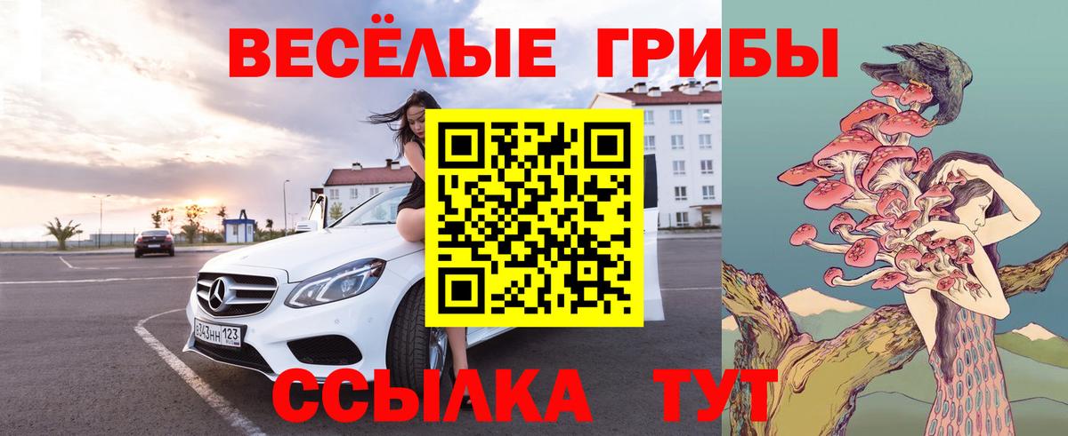 Псилоцибиновые грибы мицелий Сосновоборск